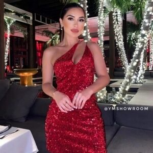 New Zara Bloggers Fave Velvet Sequin One-Shoulder Dress-Size Large